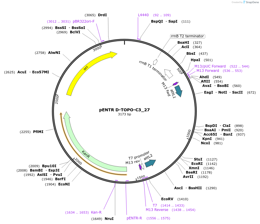 96533_map