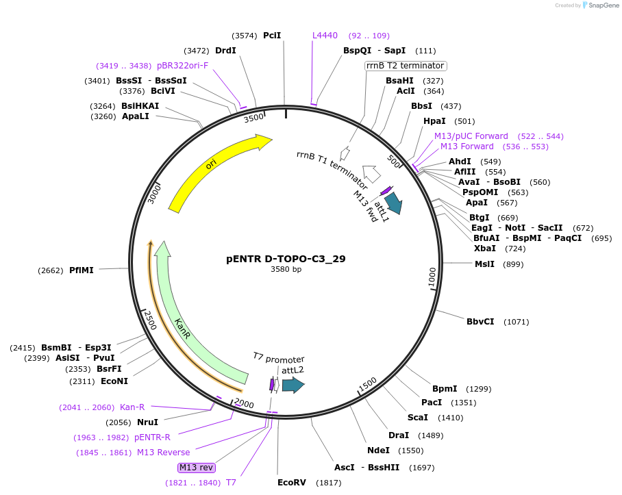 96535_map
