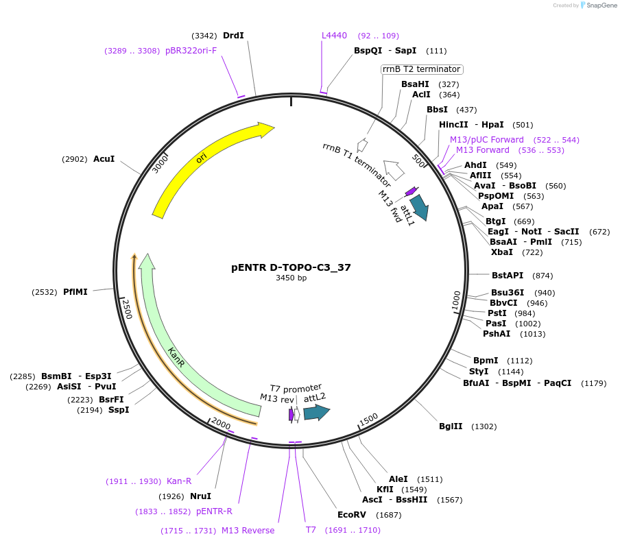 96541_map