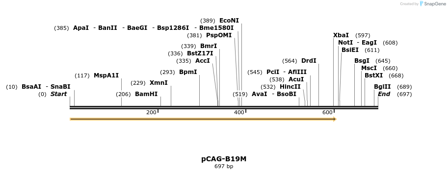 96549_map