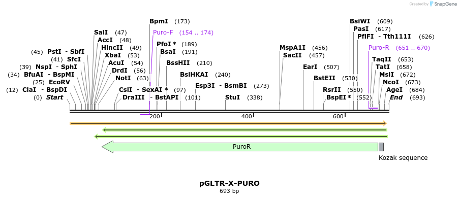 96554_map