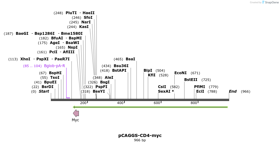 96558_map