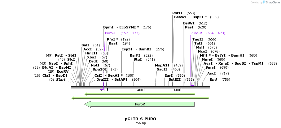 96559_map