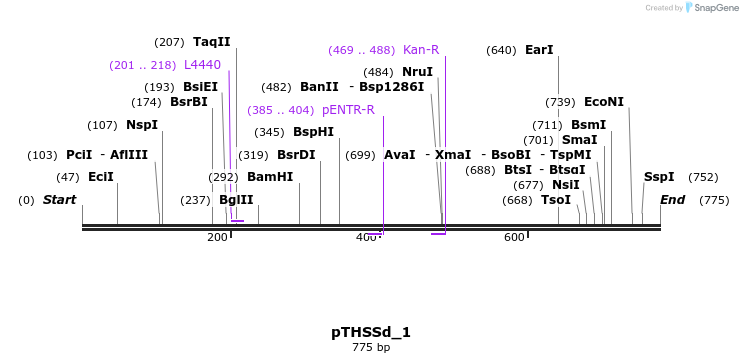 96561_map