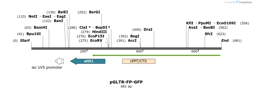 96563_map