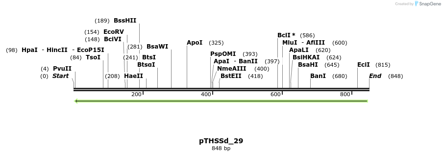 96564_map