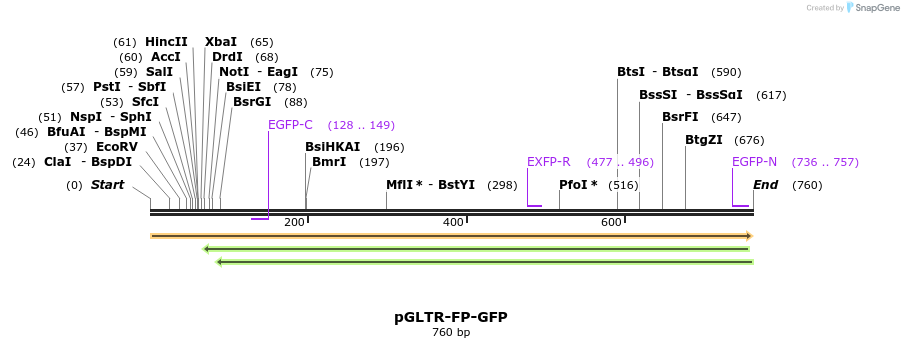 96565_map