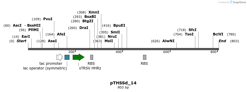 96566_map
