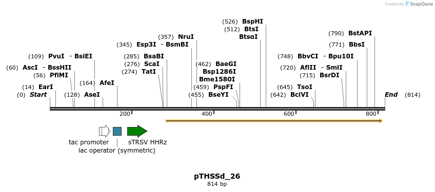 96567_map