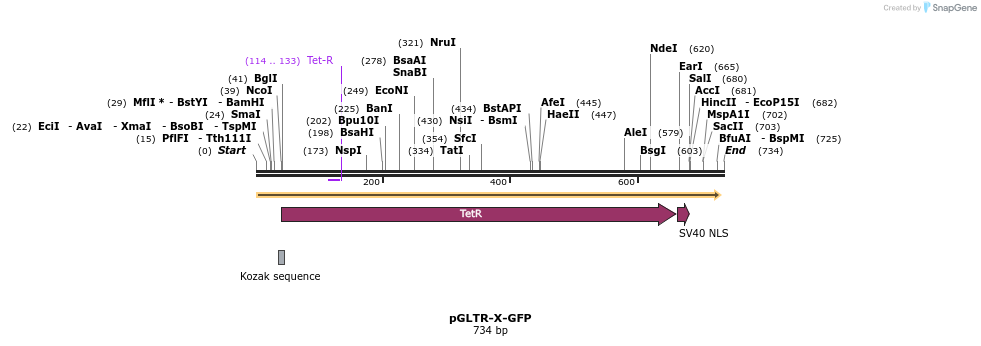 96571_map