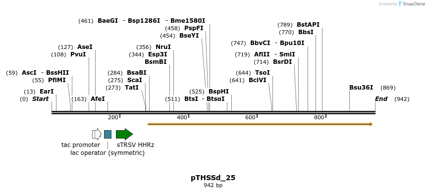 96573_map