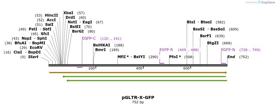 96575_map