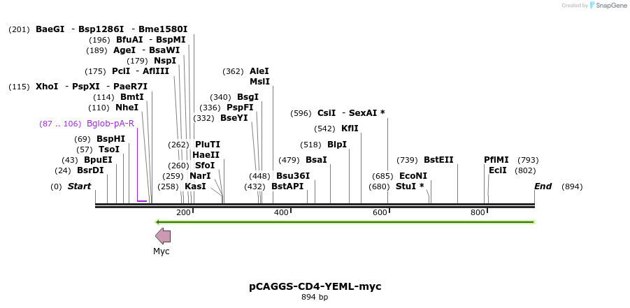 96580_map