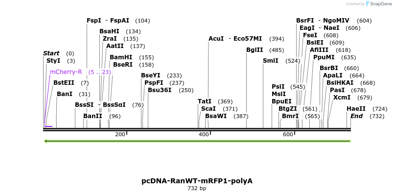 96584_map