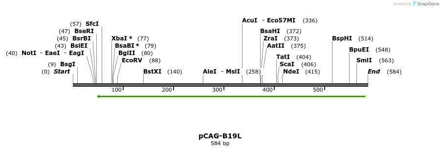 96589_map