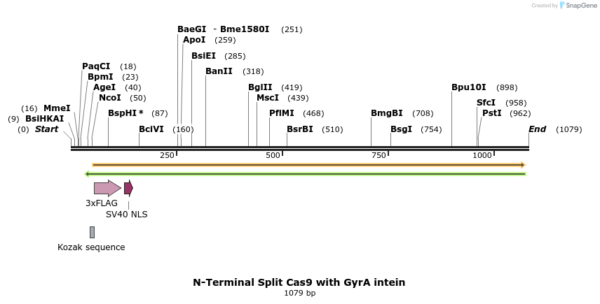 96599_map