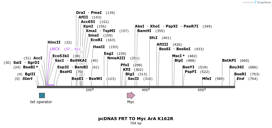 96600_map