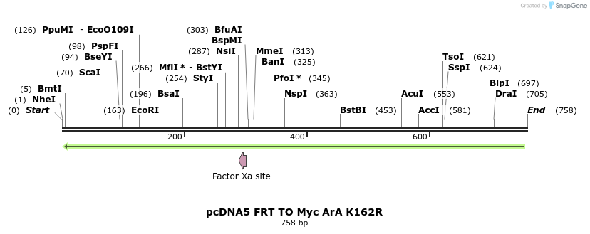 96602_map