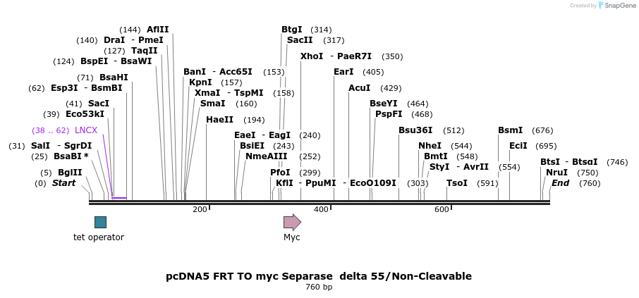 96603_map