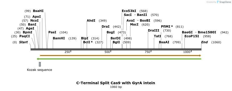96611_map