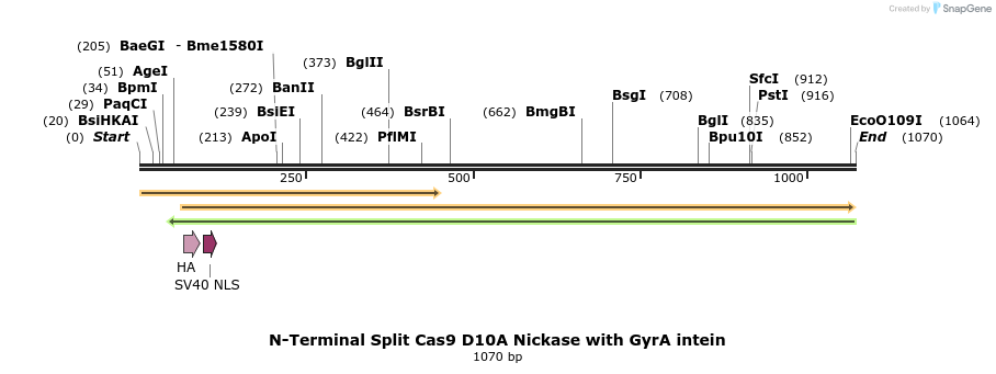 96616_map