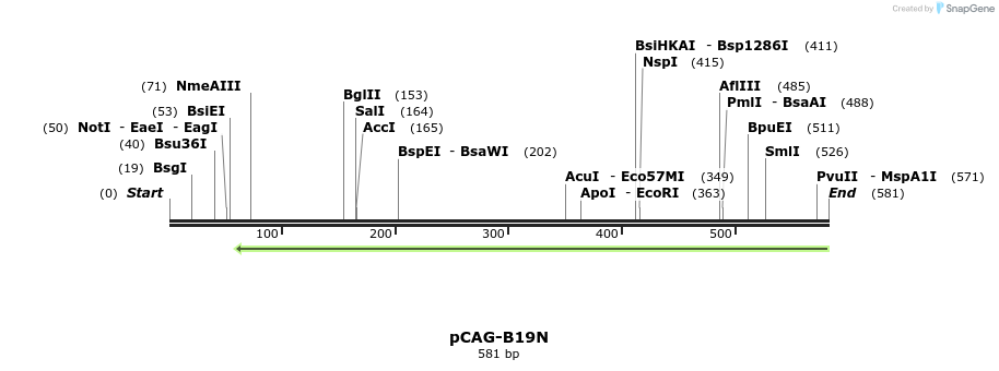 96622_map