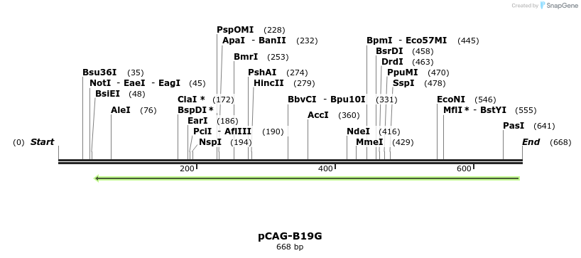 96625_map