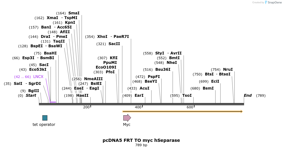 96627_map