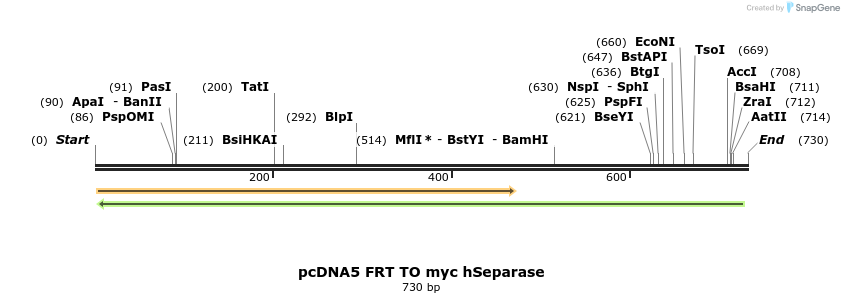 96629_map