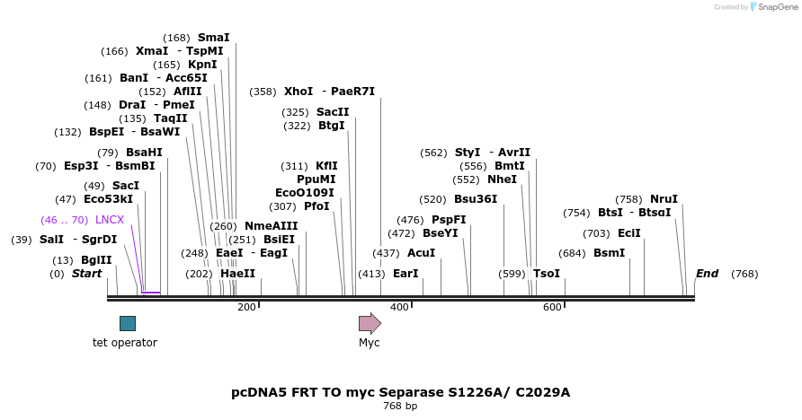 96630_map
