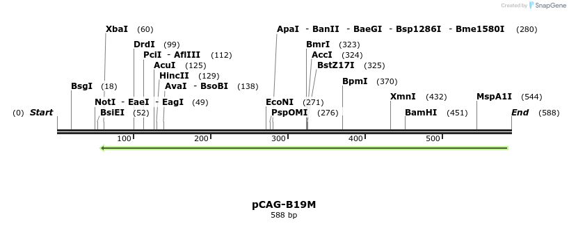96631_map