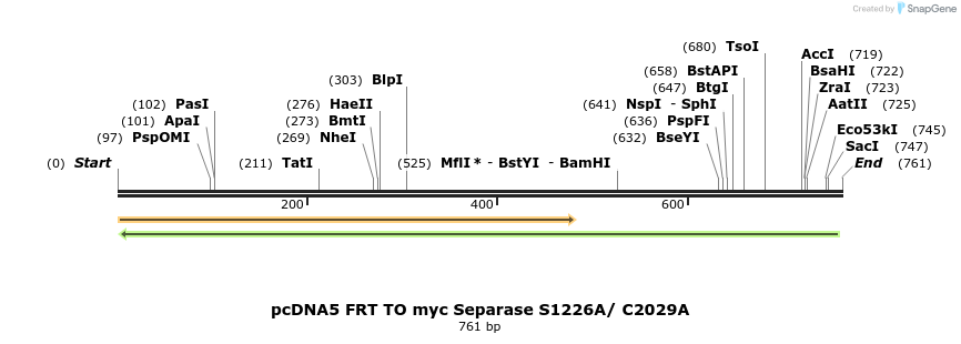 96632_map
