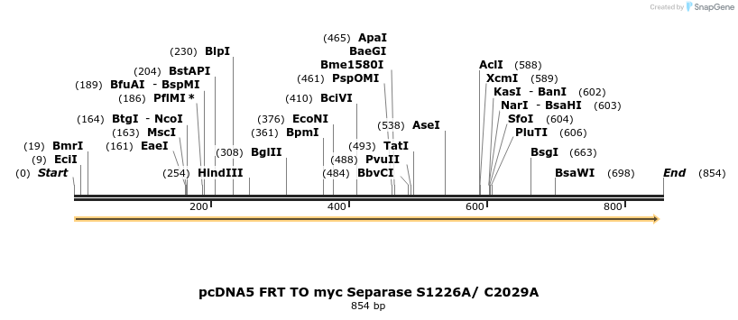 96633_map
