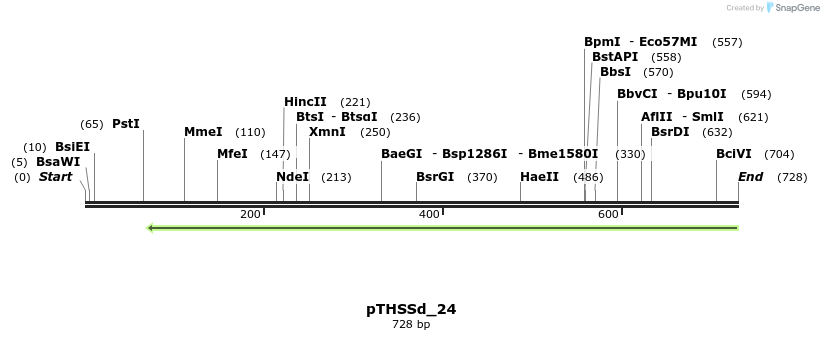 96638_map