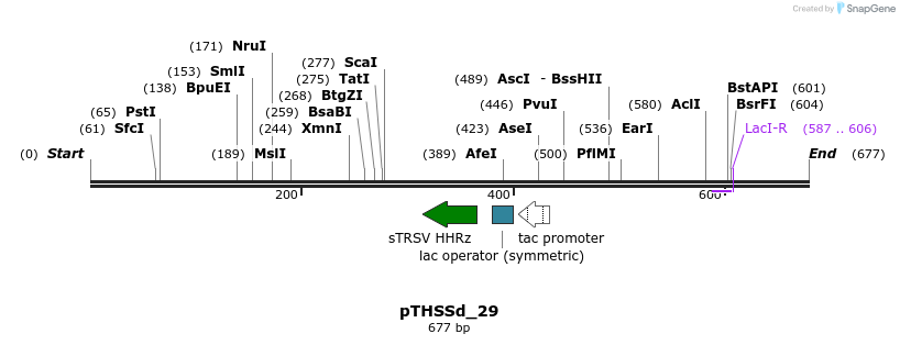 96639_map