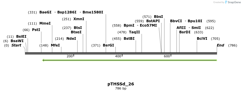 96641_map
