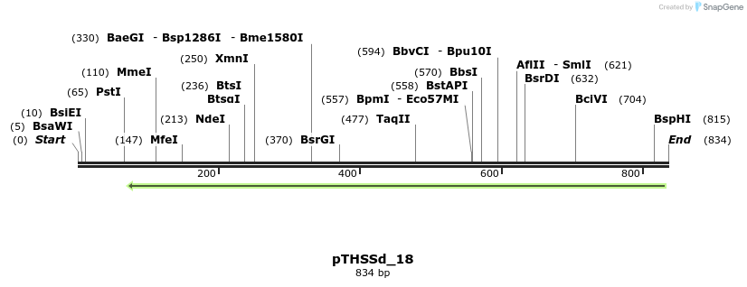 96646_map
