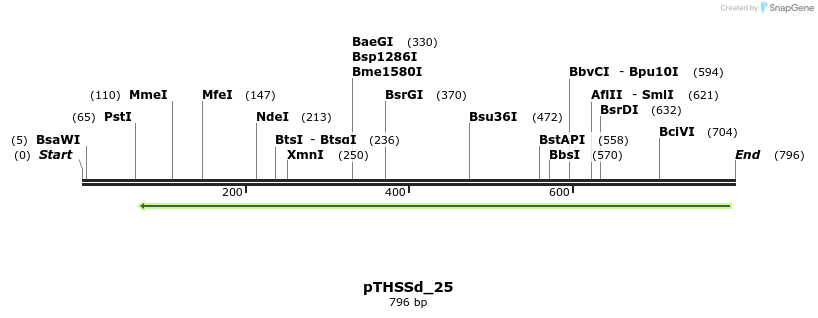 96648_map