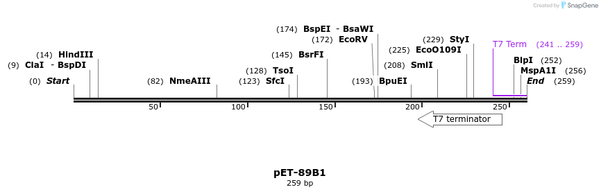 96650_map