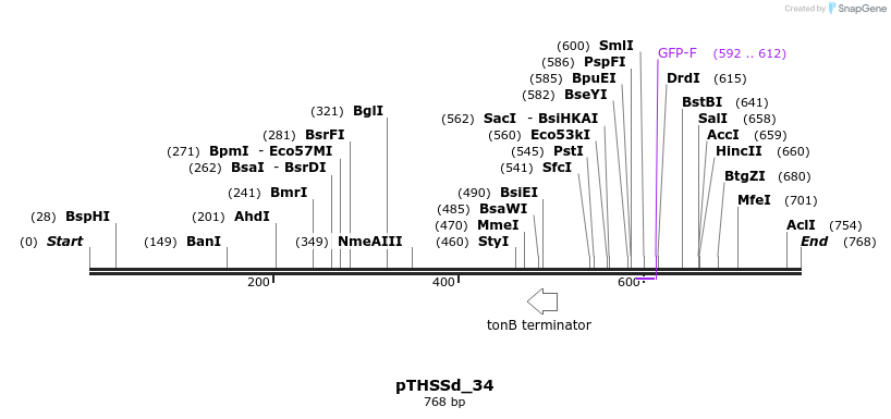 96651_map