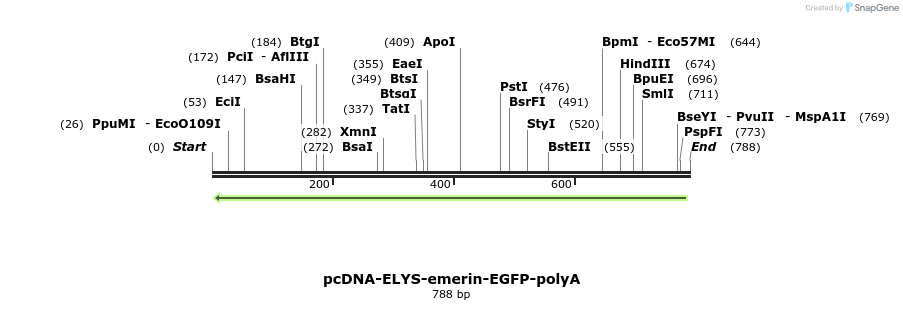 96657_map