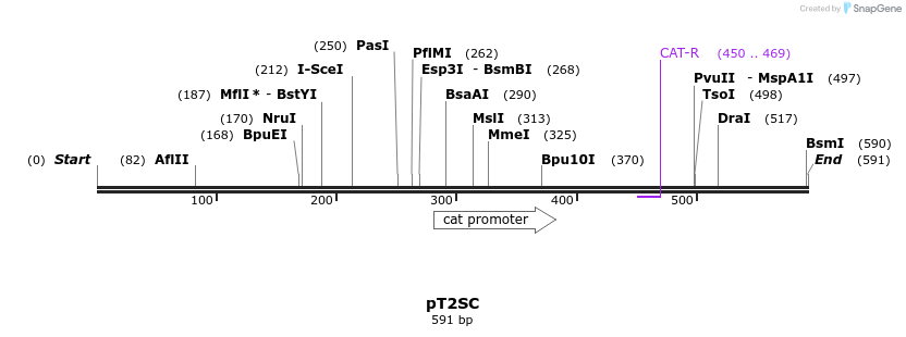 96659_map