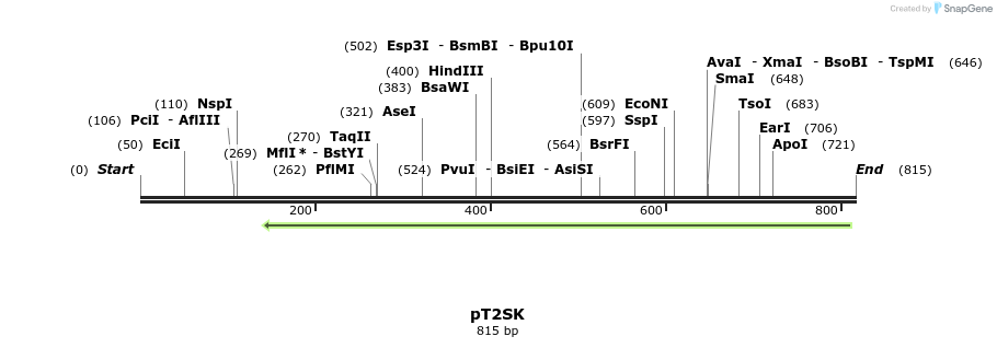 96660_map