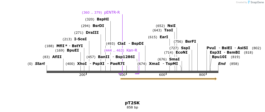 96663_map