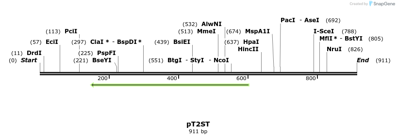 96664_map