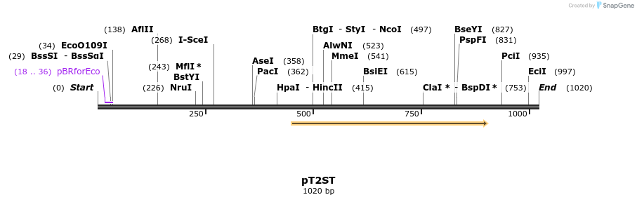 96665_map