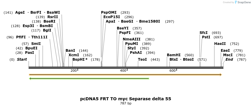 96669_map