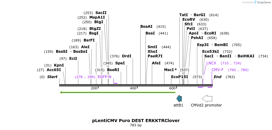 96670_map