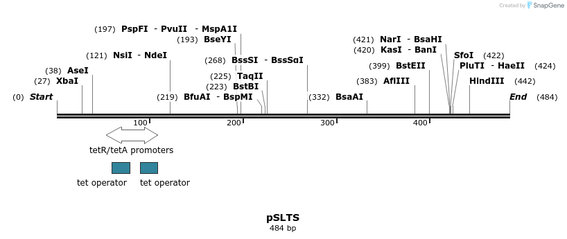 96675_map