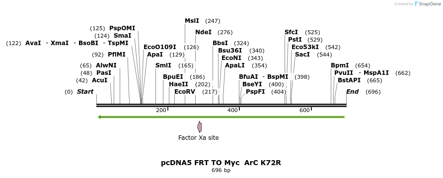 96681_map